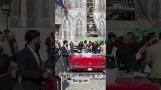 Algerian wedding in Belgium #algeria #wedding #viral #belgium