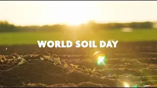 World Soil Day 2025