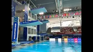 2025 SINGAPORE World Aquatics Masters Championships Diving - Platform Men 45 to 49