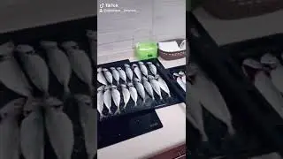 como pescar en malaga en 1 hora.