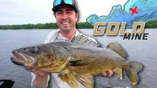 I Struck GOLD on a NEW Walleye Lake