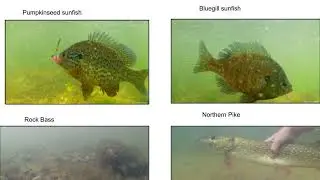 Fishing year in review