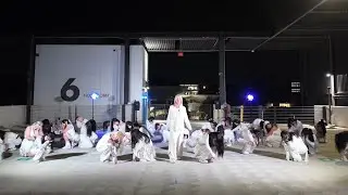 Dream Set Dance Showcase @ UCSD | Kpop, Hiphop [KUT Dance Team]