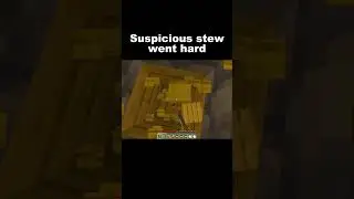 I Tried Suspicious Stew and This Happened #minecrafshorts