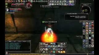 DDO Pure Paladin DPS Test THF