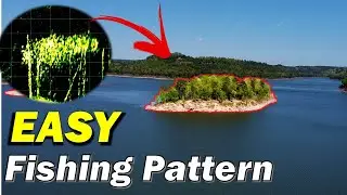 The Fishing Pattern That NEVER FAILS - Table Rock Lake Bass Fishing