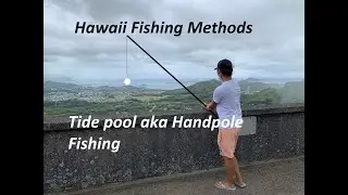 Hawaii Fishing Methods: Tidepool Fishing - Handpole Fishing