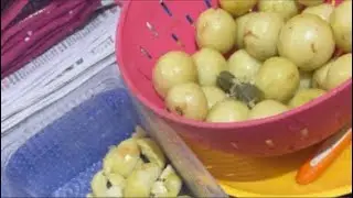 🔴Radhay Radhay 👍Frizer mai Rkho Amla aachar Tyar #amlarecipe Plz follow like Subscribe 👍