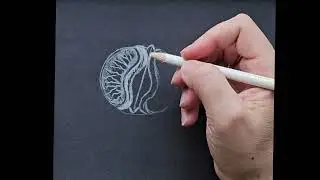 Mandarin, half of a mandarin, fruit pencil drawing, learning to draw, Master class.