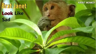 Brat Janet She Hungry Want To Chase Milk From Janna By Mom Jane, Janet Look Like Sad Today...!!!