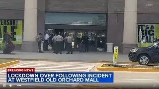 Altercation prompts hour-long lockdown at Old Orchard Mall; Skokie police investigating: officials