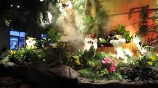 Rainforest Cafe Tigers