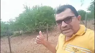 Um pequeno vídeo com os jumentos aqui!