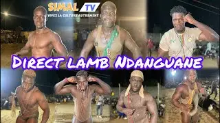 Direct lamb Ndanguane