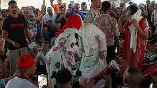 الهيت جودة لا يقاوم