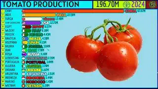 TOP 20 TOMATO-PRODUCING COUNTRIES IN THE WORLD