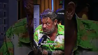 PORQUE O LE&Atilde;O N&Atilde;O TE ATACA NO SAFARI  ??? ...   #animal  #curiosidades  #richardrasmussen
