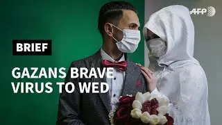 Coronavirus: White dress and matching mask, Gazans brave virus to wed | AFP