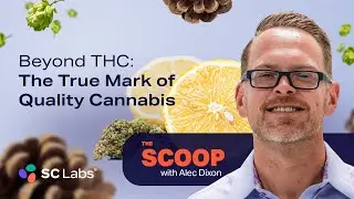 The Scoop S1 E5 | Beyond THC: The True Mark of Quality Cannabis