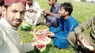 tarbos khaty hoy