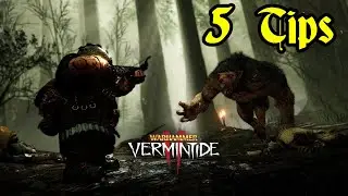 5 советов по игре за ветерана-рейнджера