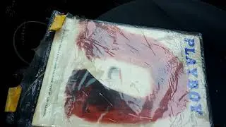 Punks in the trunk