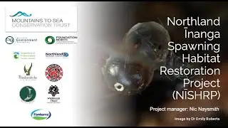 Northland Īnanga Spawning Habitat Restoration Project 2024