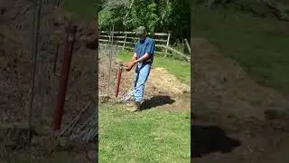 Electric Fence Around The Garden #shorts