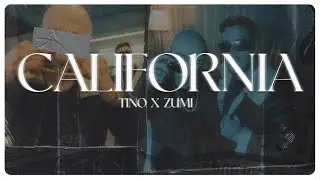 BRZI X ZUMI - CALIFORNIA 🌴