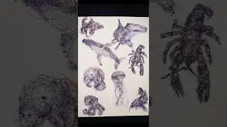 Abstract Ocean life drawn with both my hands #penart #drawing #ambidextrous #wildlife #ocean #art