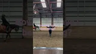 take a wild guess!! 🤪 (in the comments) #horse #dressage #equestrian #equitation