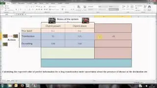 Value of Information: Calculating the Value of Perfect Information