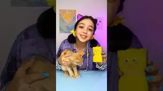 🧽 MAKE A KITTY FROM SPONGE &mdash; SUPER EASY! #shorts #kids