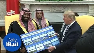 Trump thanks Crown Prince Salman for Saudi investments in US - Daily Mail