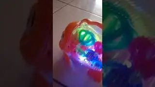 transparent gear fish nya lucu banget#fish #mainananak