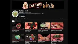 Победитель розыгрыша. Где проходит розыгрыш призов от @PulitzerOpal?
