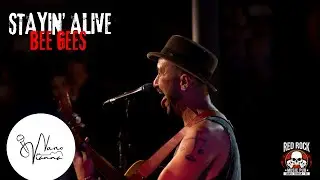 Stayin' Alive por Nano Vianna (Desconstrusom)