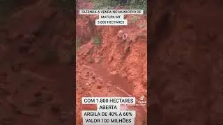 FAZENDA A VENDA NO MUNIC&Iacute;PIO DE MATUPA MT ZAP 66 99937-1289