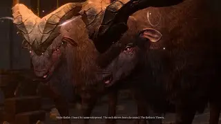 Talking to animals in the Underdark and Grymforge | Baldur's gate 3