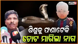 ନାଗ ନେଇଗଲା ଜୀବନ, ଶ୍ୱଶୁର ଘରେ ସାପ ଆସି ପଛପଟୁ ମାରିଲା ଚୋଟ! Snake Bite death, Bhadrak.