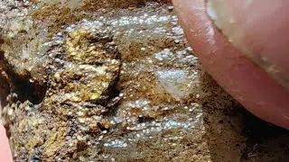 In the quartz again finding  gold