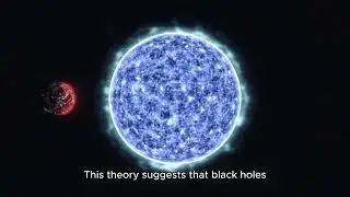 Unpacking the Mystery of Black Holes: The Frozen Stars Theory