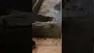 relief kayu
