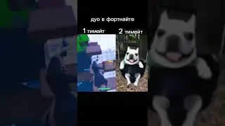 жиза