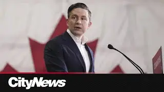 Conservative platform released
