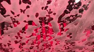 Scrubadub Carwash Brookline