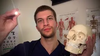 ASMR 🩺 | Calm Medical Exam, Soft Spoken & Personal Attention