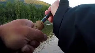 25 pounder on 7wt flt rod