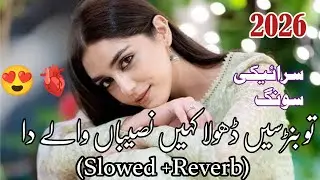 &ldquo;Tu banrseen dholā kahen naseebān wālay dā.&rdquo;Singer Adeel Sanwal Sehrani jo navo song.&rdquo;