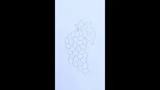 How To Draw Grapes | Easy Grapes Drawing
